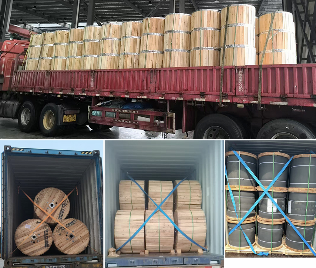 Daily Shipment Volume Hits a New High! Products Exported Globally