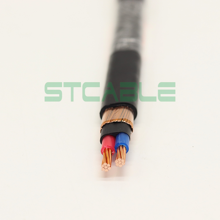 2 Core Copper Concentric Cable